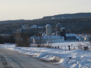Thunder Oak Cheese Farm