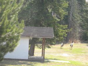 IMG_1151 (Medium) IMG_1151 (Medium)