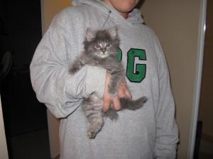 IMG_1178 (Large) IMG_1178 (Large)