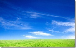 blue_sky_and_green_grass-wide